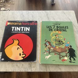 Tin Tin Biography & The comic in French 