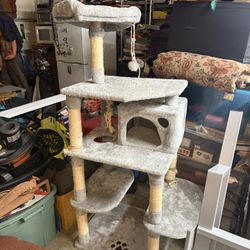 Tall Cat Tower Tree