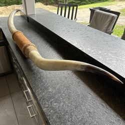 Long bowl horn wall mount