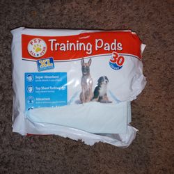 Training Dog Pads