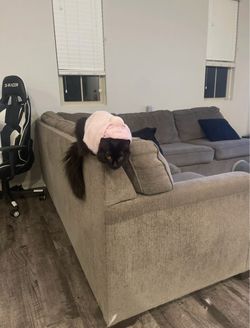 Free couch
