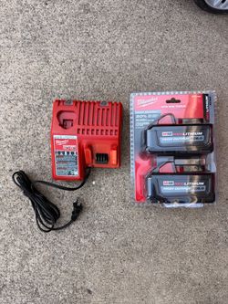 Milwaukee m18 6.0 2 pack with brand new charger