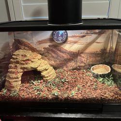 Small Terrarium 10 gallon