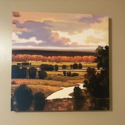Wall Art / Decor - Various Sizes - $25 Each 