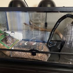 Reptile Tank & Supplies