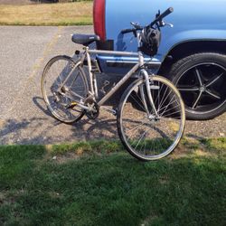 Farrago Giant Bicycle