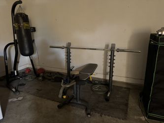 Golds Gym Weight Set