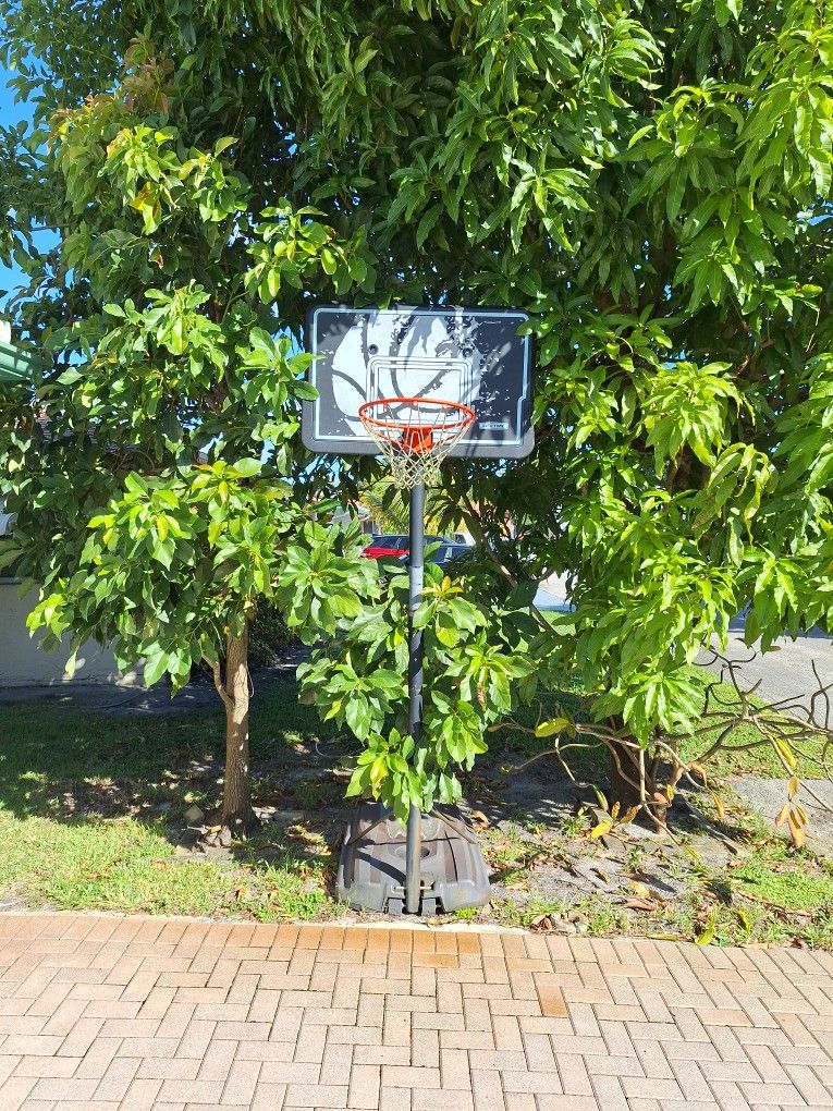 Lifetime Basketball Hoop
