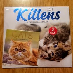 2023 Kitten Calendar..Brand New!