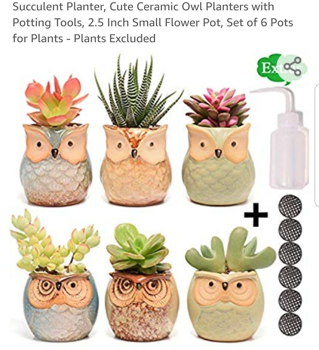 Cute Ceramic Owl Planters with Potting Tools
