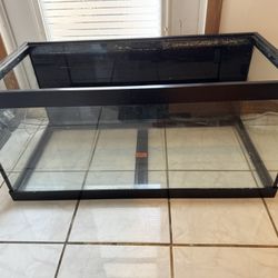40g Breeder Aquarium Tank