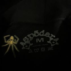 Spider Hoodie