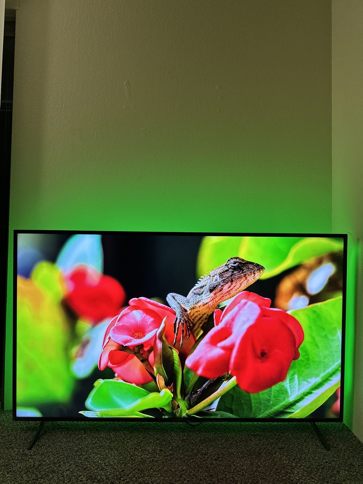 65” SONY 4K BRAVIA