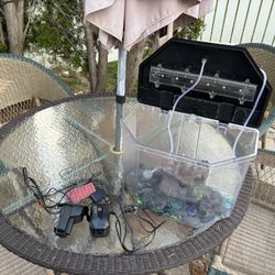 Fish Tank Setup