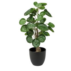 18 Inch Fake Money Tree Plant Indoor Potted Plants Artificial Guilfoyle polyscias Tree Small Faux Plants in Black Pot Good Luck Excellent Gift Fortune