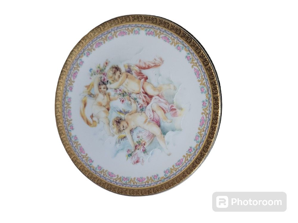 T. Limoges Rare Decorative Plate
