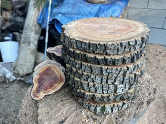 Wood Slices (Center Pieces)
