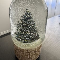 Snow globe 