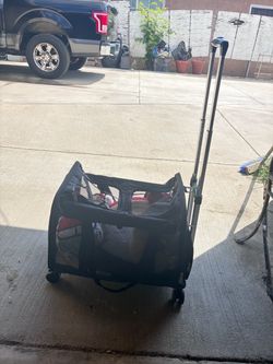 Pet carrier