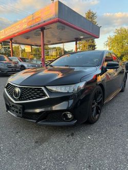 2019 Acura TLX
