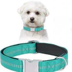 Reflective Nylon Soft Neoprene Padded Dog Collar with Metal Heavy Duty M