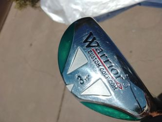 Custom Warrior #3 mint condition!