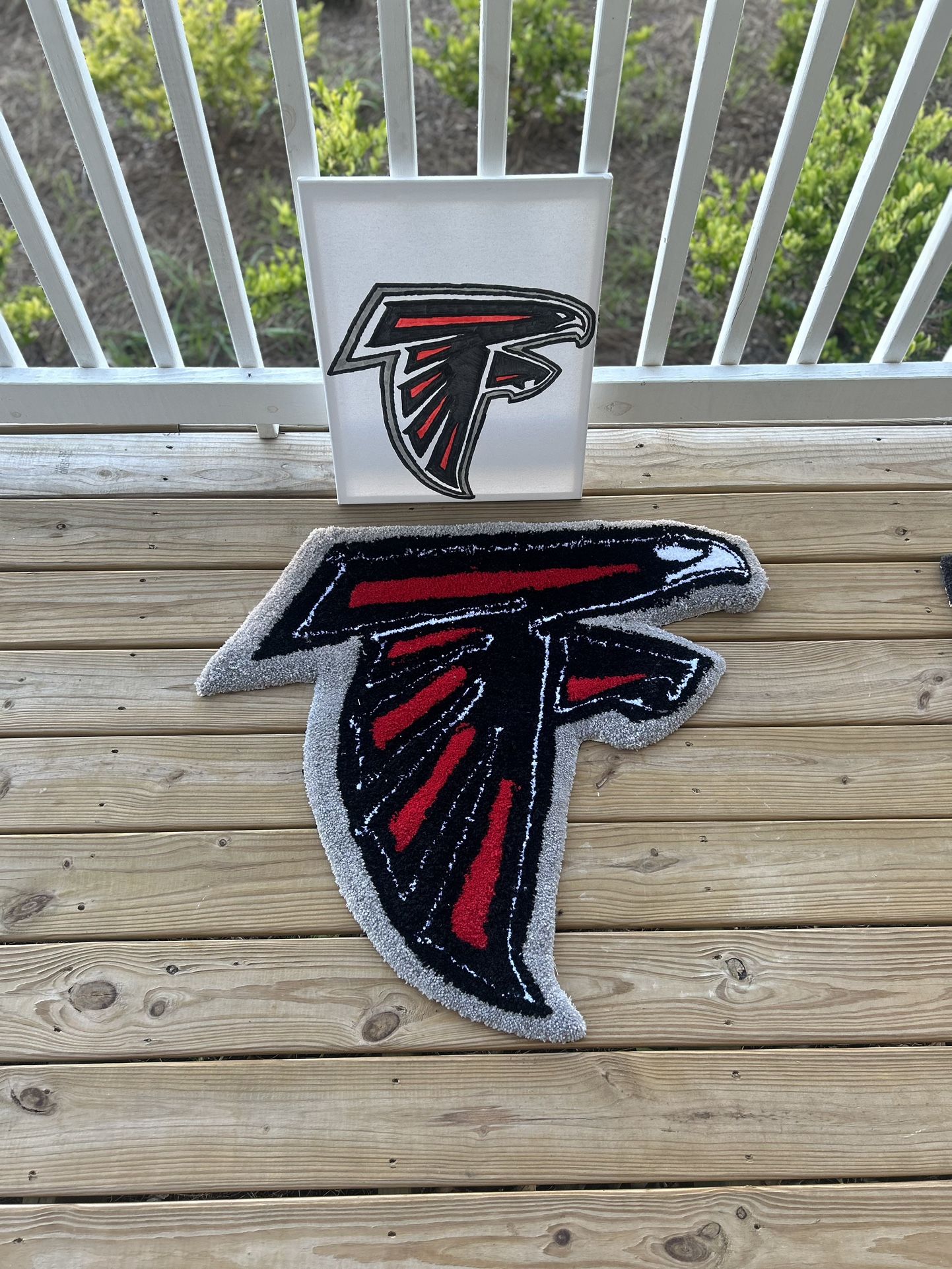 Falcons Rug And Picture