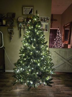 6.5 ft Christmas tree, not a prelit
