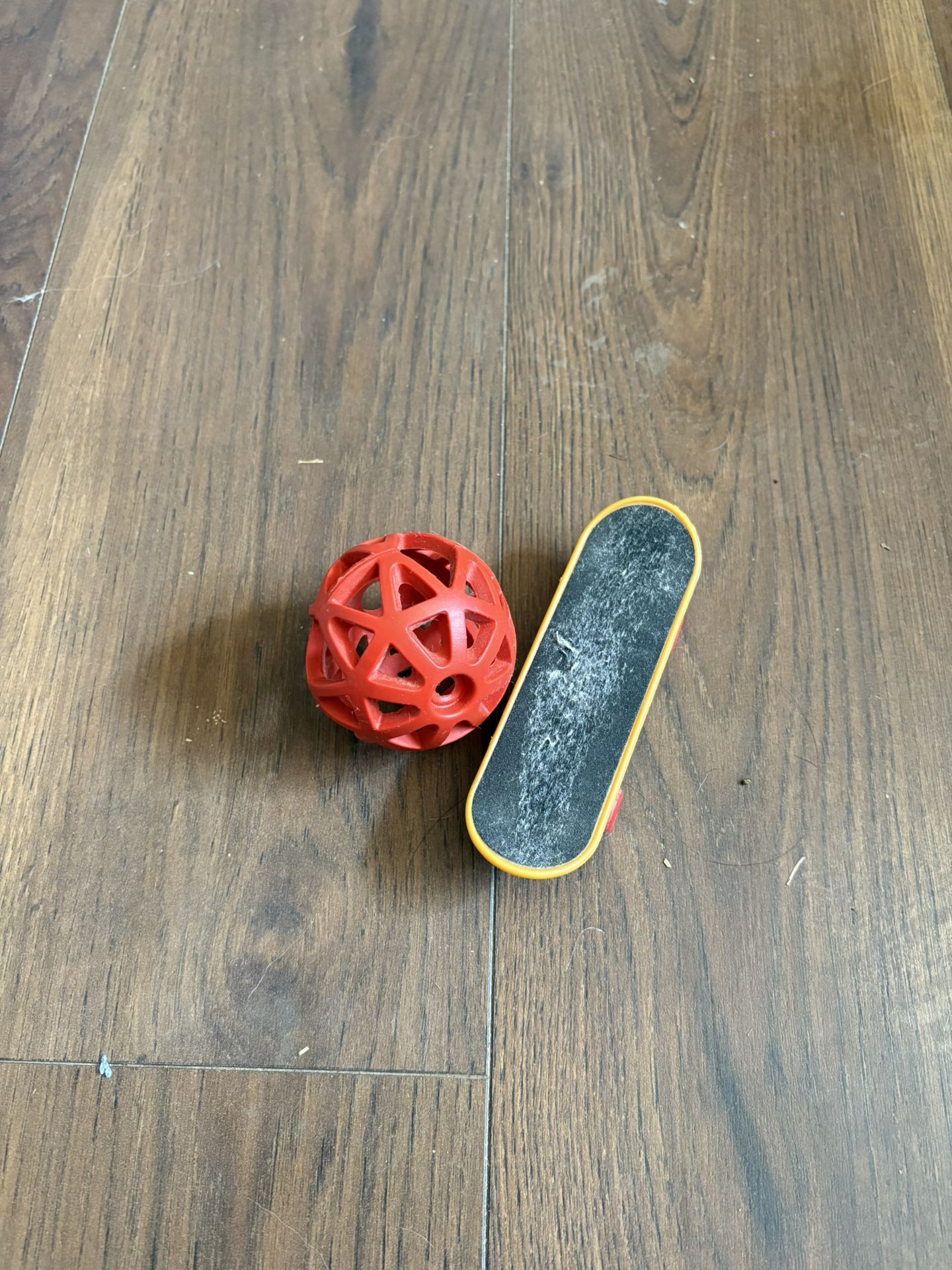 Reptile Or For Hamster Skateboard 