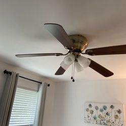 Calling Fan 