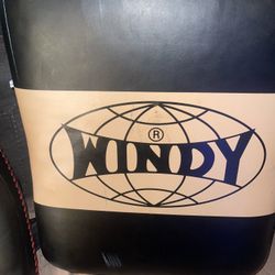 Windy + Fairtex Pro Fight Gear 