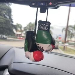 Mexico Mini Car boxing Gloves 