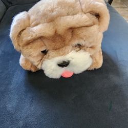Kids Dog Toy