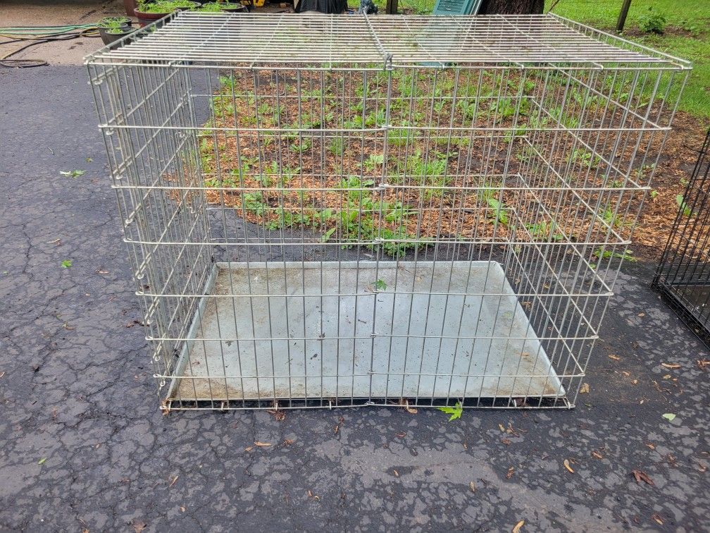 Dog Crate