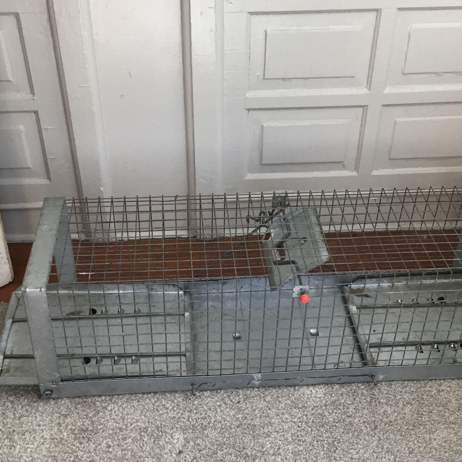 Small Animal Trap