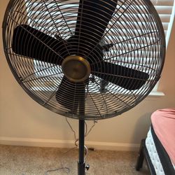 Fan