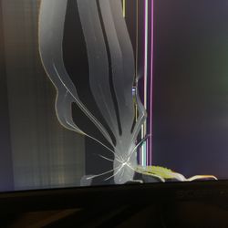 Sceptre 30” Curved Monitor – Broken Screen