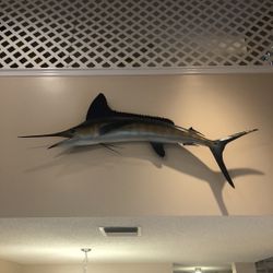 White Marlin Mount