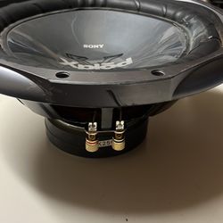 12” Inch Subwoofer