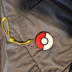 Pokemon Auto Catcher