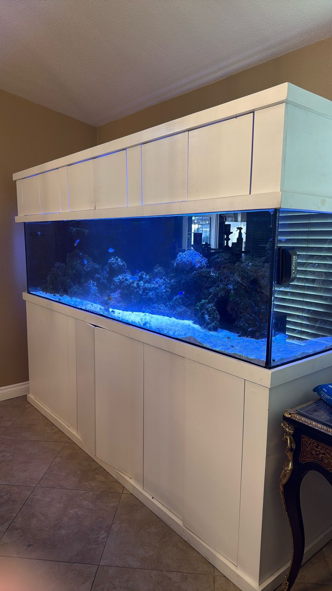 300 Gallon Visio Aquarium