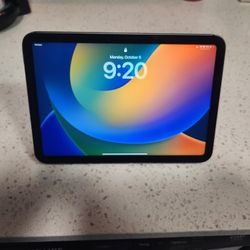 iPad Mini 6 – 64GB, Cellular, Good Condition