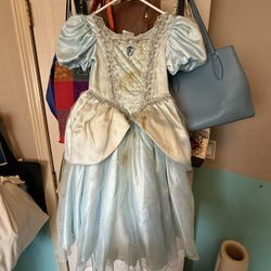 Disney Princess Dresses. - $5 Each