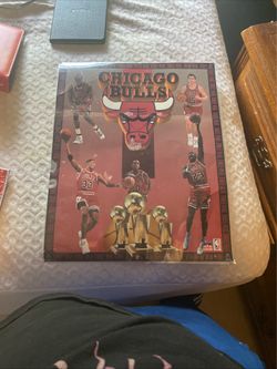 1993 bulls poster