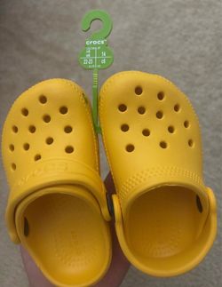 Baby crocs