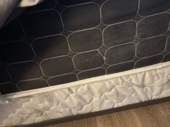 Queen bamboo mattress headboard and box spring