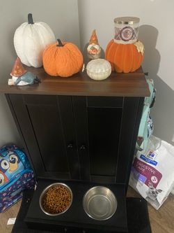Pet Cabinet