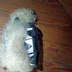 UGG Australia RARE Fluff Momma Mongolian Long Sheepsskin Boots 10 Size