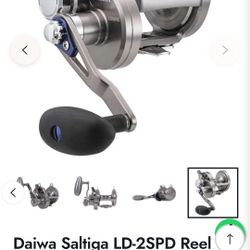 Daiwa Saltiga Ld15 2 Speed Fishing Reel