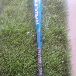 Baseball Bat 